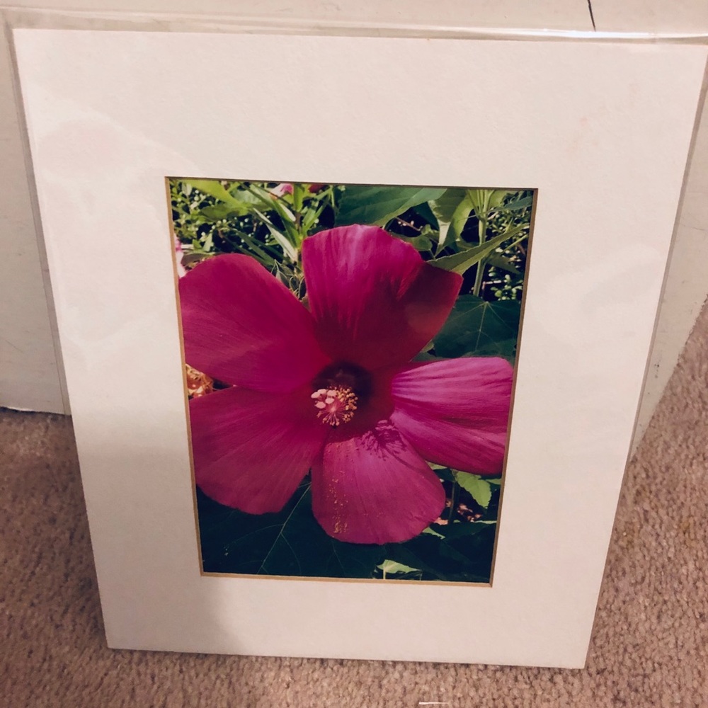 Flower Print